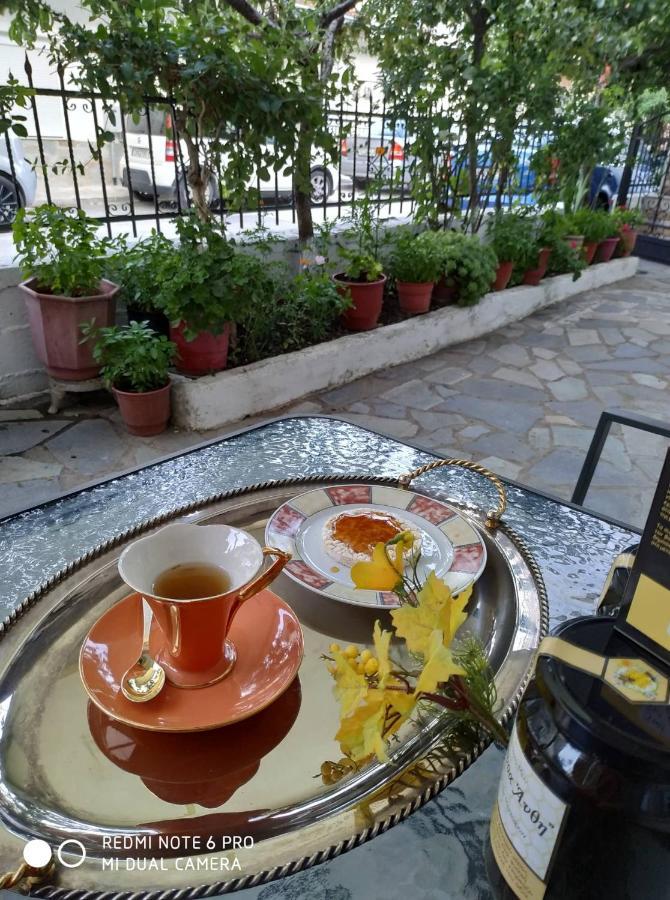 Ferienwohnung Chrysanty'S Tea House Kalambaka Exterior foto